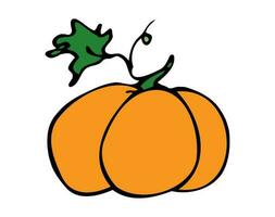 Vector illustration hand drawn pumpkin. Autumn, fall. Harvest festival. Halloween. Thanksgiving. Icon, doodle. Isolated.