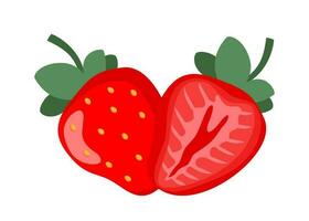 Natural strawberry. Fresh farm organic berry. Juicy sweet strawberries. Vector illustration.