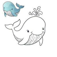 Whale Coloring Page Colored Illustration. cartoon whale character for children, coloring and scrap book vector