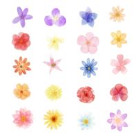 Beautiful Flowers watercolor set illustration png