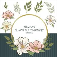 Botanical cosmos flower illlustration hand drawn elements and frame vector