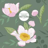 Botanical hand drawn gustavia flower illlustration seamless pattern01 vector