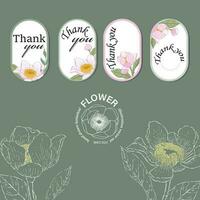 Botanical hand drawn gustavia flower illlustration for logo tag and border vector