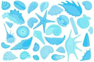 Set of various blue sea shells. Starfish, shellfish, underwater world vector