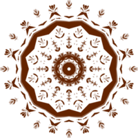 abstract mandala circulaire patroon helling in het formulier van mandala voor henna, mehndi, tatoeëren, decoratie. decoratief ornament in etnisch oosters stijl. helling kleur mandala. png