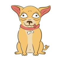 Funny cartoon dog breed purebred small chihuahua in flat style. vector