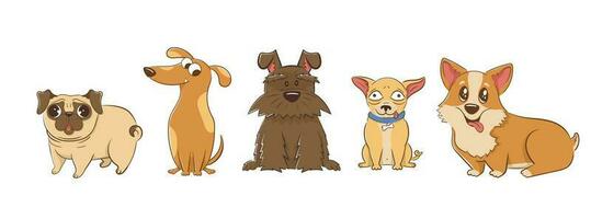 Set of funny cartoon small dogs in flat style. vector