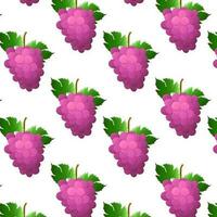 Seamless pattern pink, purple grape bunch with berries and leaves isolated on white background. For nature or healthy vitamin food design. Vector illustration