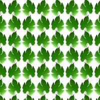 Seamless pattern grape leaves. Green leaf. Vector illustration