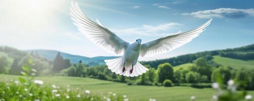 International Peace Day, White Dove Flying on Blue Sky Background, Bird of Peace Symbol. photo