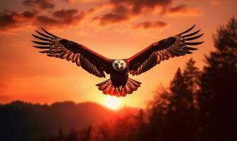 Bald Eagle Flying on Sunset Background. Generative Ai photo