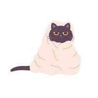 Cute black cat in blanket. Domestic pets, feline activities. vector