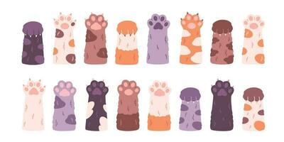 Cute cat's paws collection. Different funny pet paws with claws, animals hands. vector