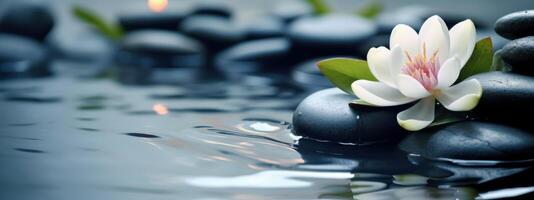 Spa Still Life with Stones and Flowers in Serenity Water. Natural Alternative Therapy. photo