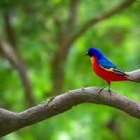 Free photo a colorful bird sits on a branch in the forest