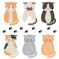 cat cute sit vector