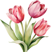 Tulip flowers watercolor ai generate png