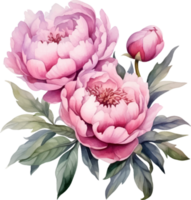 Peonies flowers watercolor ai generate png