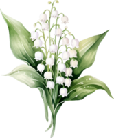 Lily of the valley flowers watercolor ai generate png