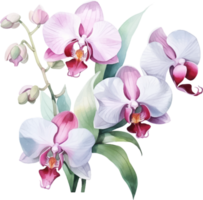 Orchideen Blumen Aquarell ai generieren png