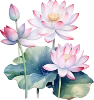 Lotus flowers watercolor ai generate png