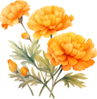 goudsbloemen bloemen waterverf ai genereren png