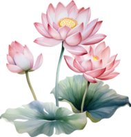 lotus blommor vattenfärg ai generera png