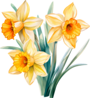 narcisos flores aguarela ai gerar png