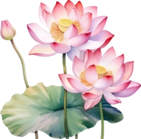 Lotus flowers watercolor ai generate png