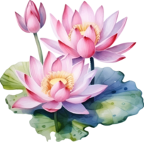 Lotus flowers watercolor ai generate png