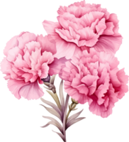 Carnations flowers watercolor ai generate png