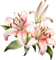 Lilien Blumen Aquarell ai generieren png