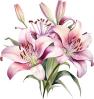 Lilien Blumen Aquarell ai generieren png