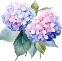 hortensia's bloemen waterverf ai genereren png