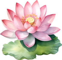 lotus blommor vattenfärg ai generera png