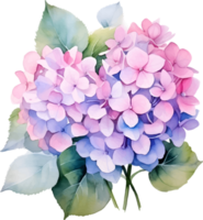 hortensias fleurs aquarelle ai produire png