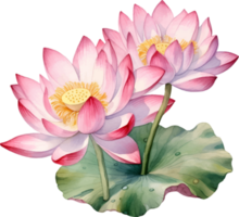 Lotus flowers watercolor ai generate png