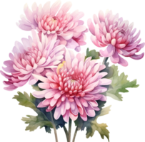 chrysanthèmes fleurs aquarelle ai produire png