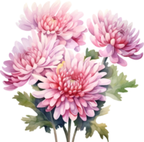 krysantemum blommor vattenfärg ai generera png