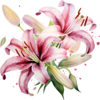 Lilien Blumen Aquarell ai generieren png