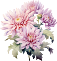 Chrysanthemums flowers watercolor ai generate png