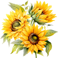 tournesols fleurs aquarelle ai produire png