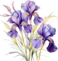 iris blommor vattenfärg ai generera png