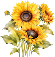 girasoles flores acuarela ai generar png