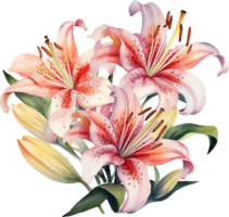 Lilies flowers watercolor ai generate png