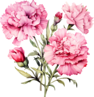 nejlikor blommor vattenfärg ai generera png