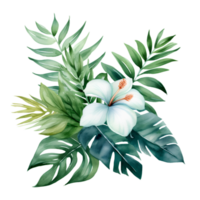 tropical leaf watercolor jungle ai generate png