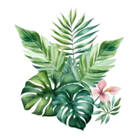 tropical leaf watercolor jungle ai generate png