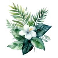 tropical leaf watercolor jungle ai generate png