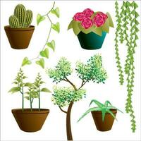 Set of plants. Tree. Cactus. Aloe vera. Flowers vector